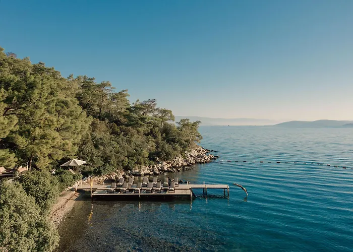 Θέρετρο Amanruya *