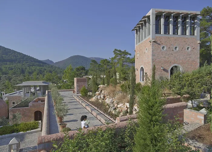 Amanruya Complex Torba