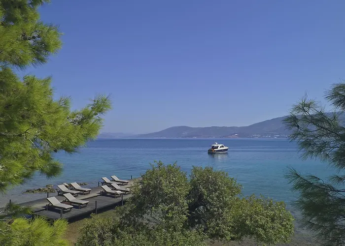 Amanruya Τόρμπα