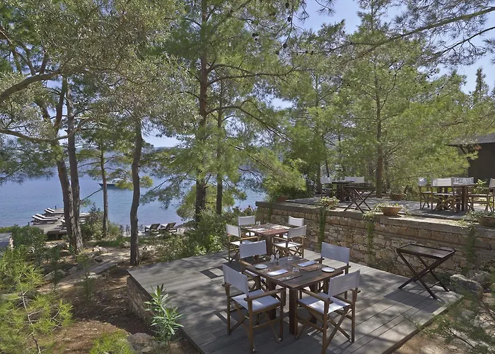 Amanruya Θέρετρο *