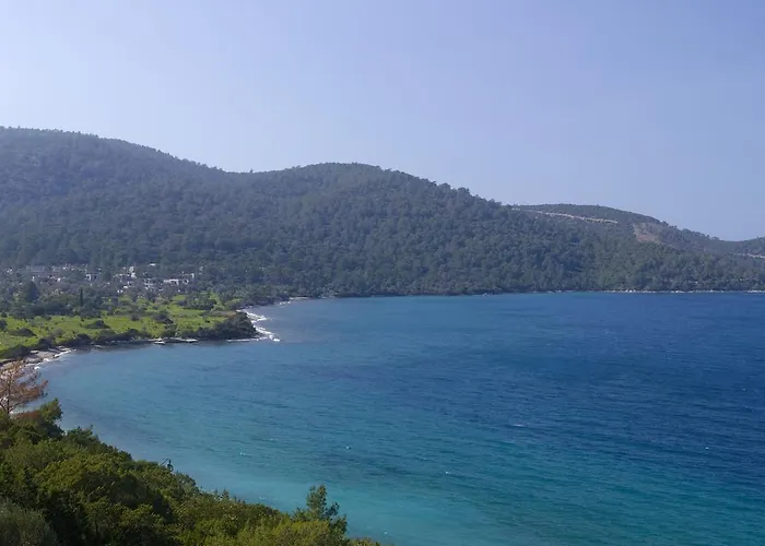 Amanruya Semesteranläggning (resort) Torba