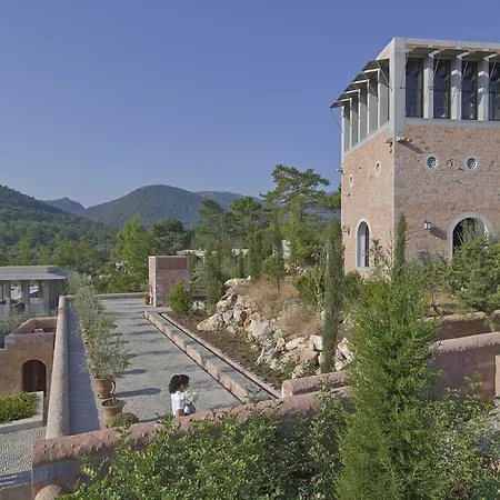 Amanruya Complex Torba